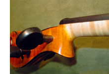 violin neck graft
